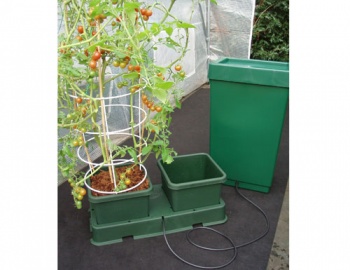 AutoPot Kweekset