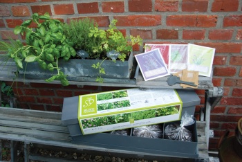 Plantenbak Keuken kruiden