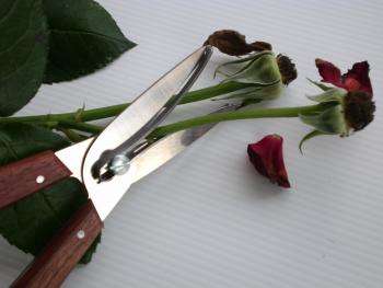 Bloemplukschaar