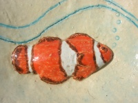 Waterschaal Anemoonvissen