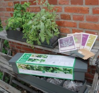 Plantenbak Italiaanse kruiden