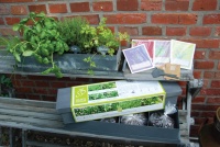 Plantenbak Keuken kruiden