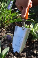 Verplantschep