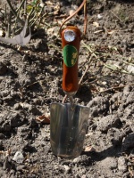 Verplantschep