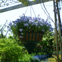 Aqua Lock Hanging Basket