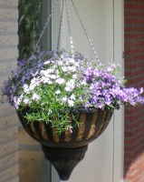 Aqua Lock Hanging Basket
