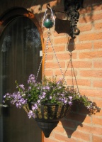 Rotobasket