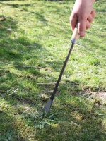 Aspergesteker