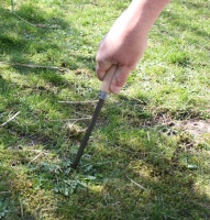 Aspergesteker