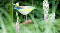 Vogel Drinkbadje op pin