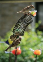 Vogel  VoerSpiraal op pin