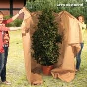 Thermo plantenhoes 350x300cm