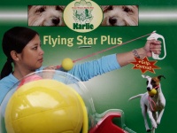 Flying Star Plus