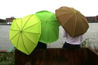 Leaf Umbrella